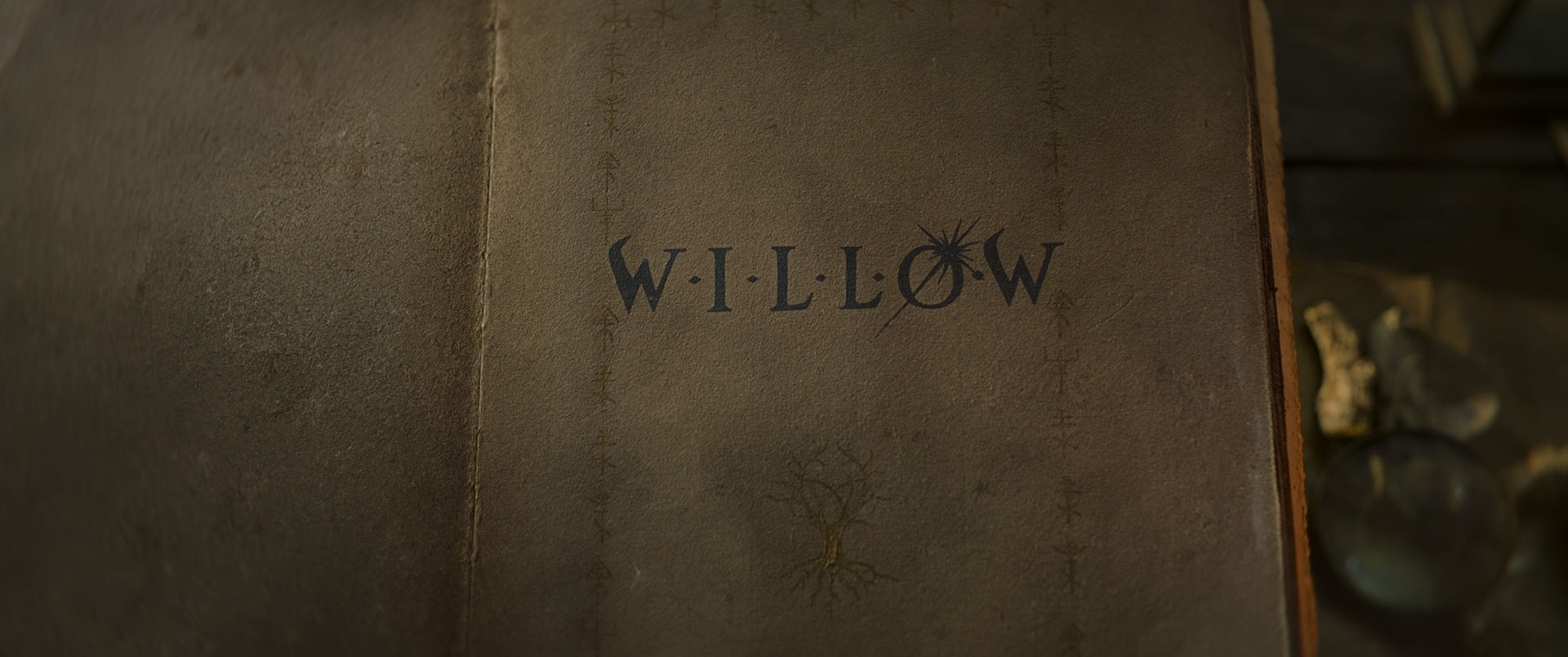 A book named "Willow" opens.